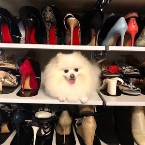 Meet your Posher, Ramona